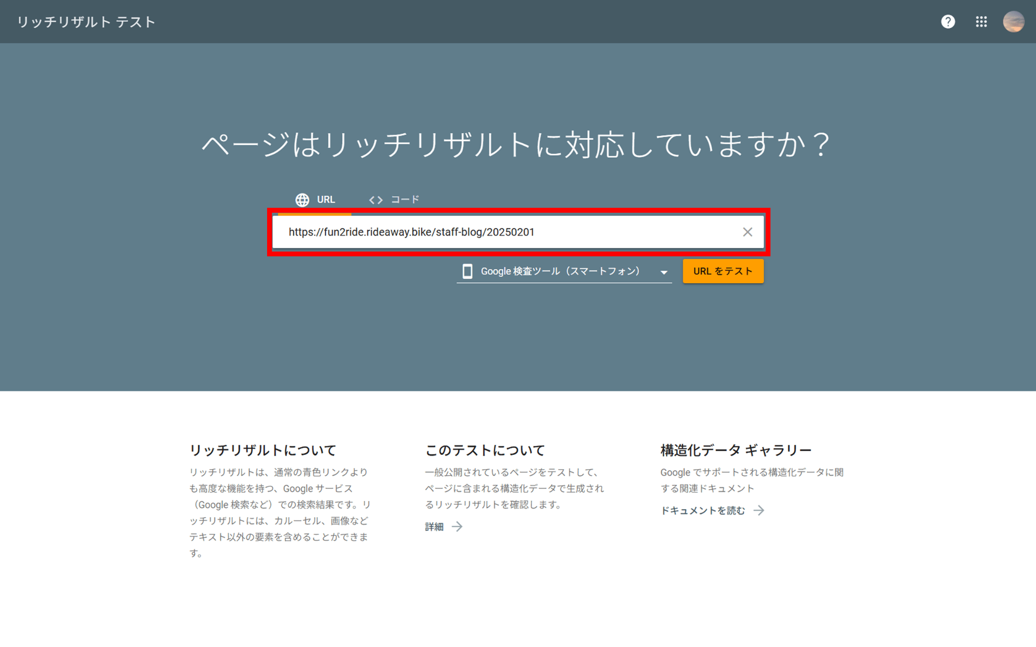 リッチリザルトテスト画面